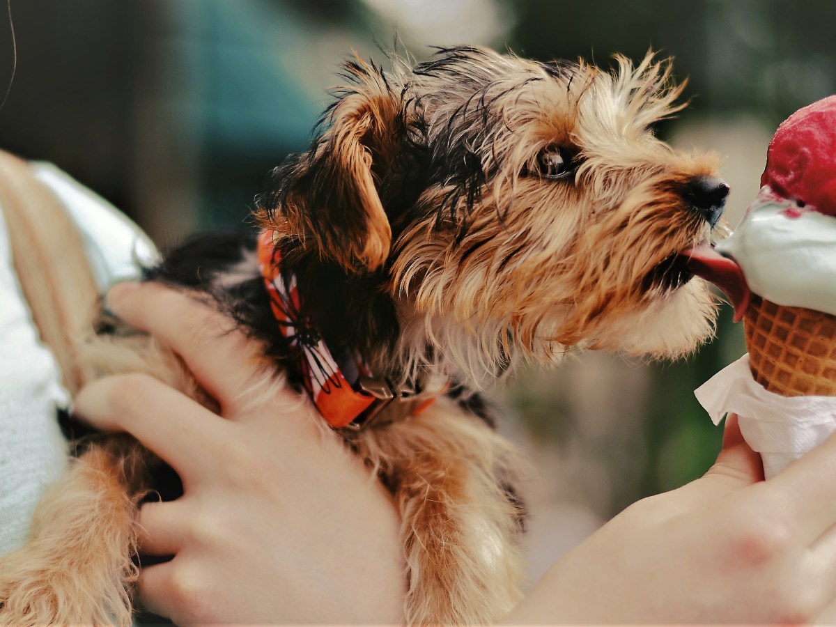 El todo y las&nbsp;partes