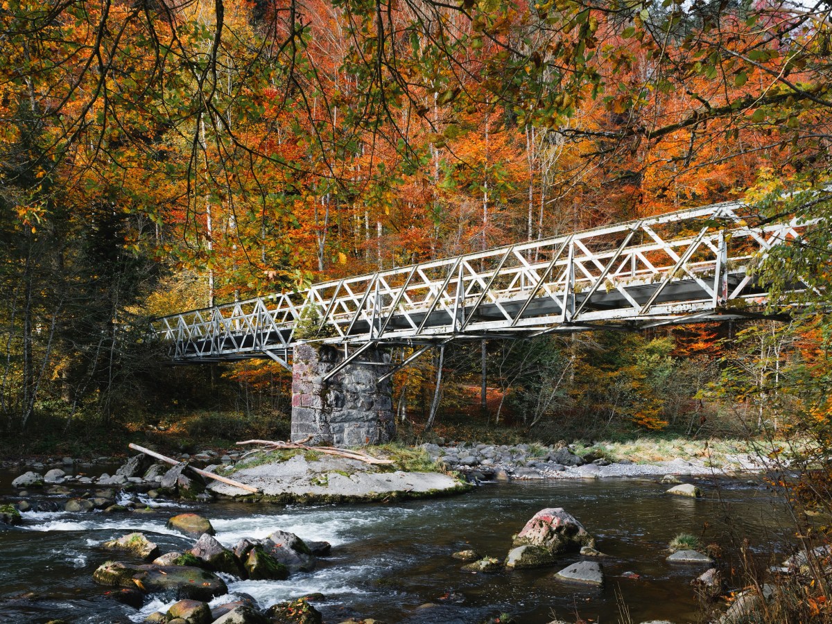 Natural y artificial