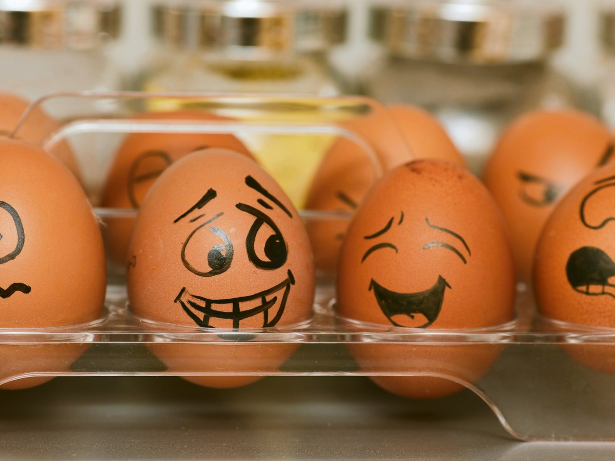 El dominio de la&nbsp;locura