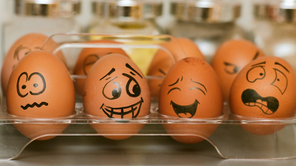 El dominio de la&nbsp;locura